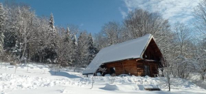 Domek z Piernika 729-656-514 Ropienka